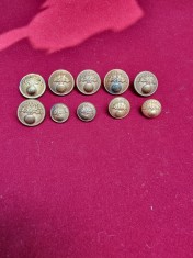Nasturi de infanterie din perioada regalista foto