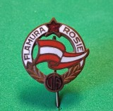 Insigna (model vechi) fotbal - "FLAMURA ROSIE" UTA ARAD