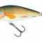 Salmo Wobler Perch Floating 8cm Real Roach
