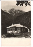 CPIB 15969 CARTE POSTALA - BUSTENI, CABANA DIN VALEA CERBULUI, RPR, Circulata, Fotografie