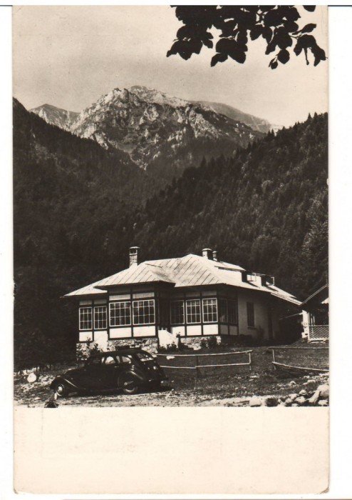 CPIB 15969 CARTE POSTALA - BUSTENI, CABANA DIN VALEA CERBULUI, RPR