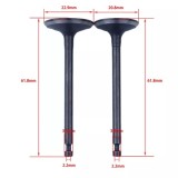 Cumpara ieftin Supape motocoasa Honda GX 100