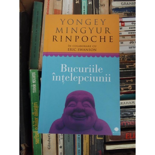 BUCURIILE INTELEPCIUNII , YONGEY MINGYUR RINPOCHE