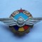 ROMANIA -INSIGNA AVIATIE MILITARA - MAISTRI MILITARI AVIATIE, RPR, RARA, IM1.110