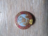 Insigna Industrie 8 CSH Hunedoare 1984