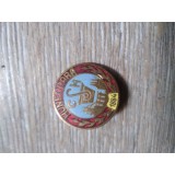 Insigna Industrie 8 CSH Hunedoare 1984