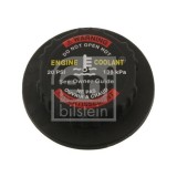 Febi Bilstein buson, vas expansiune