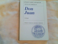 Don Juan-Nicolae Breban foto