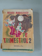 Neagu Radulescu - 4 pe trimestrul 2 foto