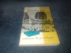 SUB CERUL INDONEZIEI COLECTIA IN JURUL LUMII
