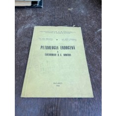 Dan Radulescu - Petrologia endogena a teritoriului R. S. Romania