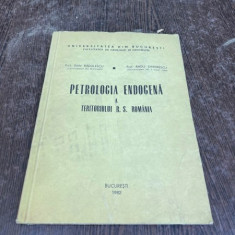 Dan Radulescu - Petrologia endogena a teritoriului R. S. Romania