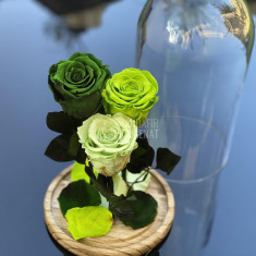 3 Trandafiri Criogenati 3 nuante de verde Ø6,5cm 17x28cm