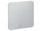 Placă de montare SCHNEIDER ELECTRIC 270mm x 270mm