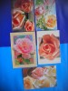 HOPCT LOT 1926 FELICITARE-FLORI -5 CARTI POSTALE-NECIRCULATE