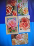HOPCT LOT 1926 FELICITARE-FLORI -5 CARTI POSTALE-NECIRCULATE