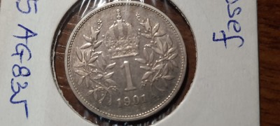 AUSTRIA 1 CORONA 1901 foto