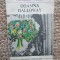DOAMNA DALLOWAY VIRGINIA WOOLF