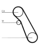 Kit distributie Contitech CT983K1 Ford Focus Combi Fiesta 4 Focus C-Max Focus Fiesta Caroserie Fiesta Caroserie Focus 2 Combi C-Max Focus Limuzina (D