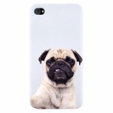 Husa silicon pentru Apple Iphone 4 / 4S, Simple Pug Selfie