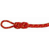 Coarda MAMMUT 8.0 Alpine Core Protect Dry 60m fire/halo