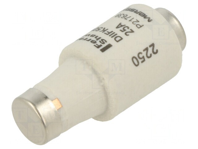 Siguranță industrială gG 25A 500V
