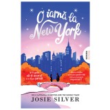 O iarnă la New York - Josie Silver