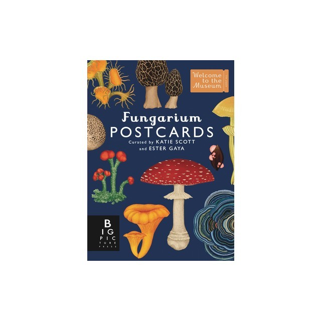 Fungarium Postcard Box Set