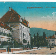 3418 - TARNAVENI, Mures, Romania - old postcard - used - 1923
