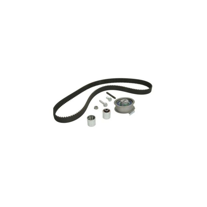 Kit distributie AUDI A6 Avant 4F5 C6 DAYCO KTB614