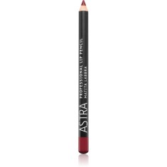 Astra Make-up Professional creion contur buze culoare 44 Brick Kick 1,1 g