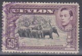 CEYLON, 1946, stampilat (G1)