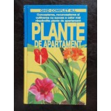 PLANTE DE APARTAMENT - GHID COMPLET