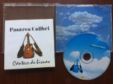 Pasarea colibri cantece de bivuac 2002 cd disc muzica pop folk rock roton VG++