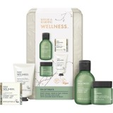 Baylis &amp; Harding Wellness. Energise set cadou pentru corp Ginger, Lime &amp; Basil Leaf