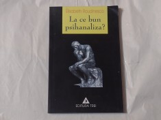 ELISABETH ROUDINESCO - LA CE BUN PSIHANALIZA ? foto