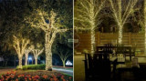 Ghirlande Luminoase Copaci, 17 m, de Exterior/Interior, Instalatii luminoase copaci