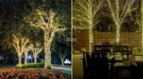 Cumpara ieftin Ghirlanda Luminoasa Copaci 17m Exterior/Interior, 120 LED-uri, 8 Functii, Lumina Calda, Verde, Decoratiuni Craciun, Instalatie Luminoasa