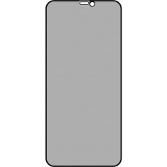 Folie de protectie Ecran Privacy OEM pentru Apple iPhone 11 Pro / XS / X, Sticla Securizata, Full Glue, 5D