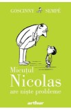 Micutul Nicolas are niste probleme - Rene Goscinny