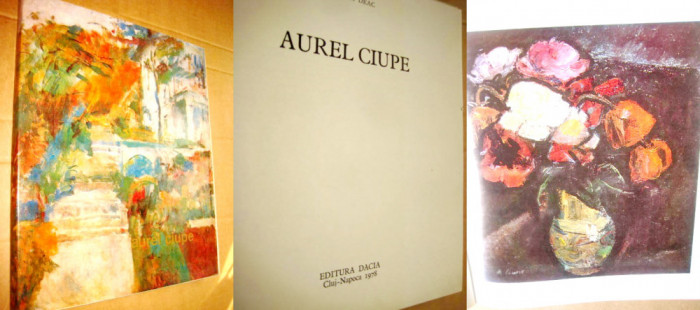 6631- Album de Arta Aurel Ciupe anii 70-80 cartonat gros.