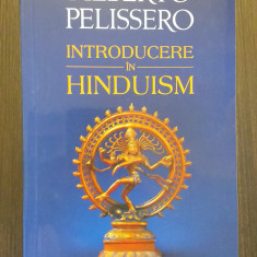 INTRODUCERE IN HINDUISM - ALBERTO PELISSERO