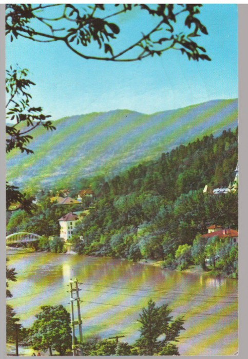 CPI B14536 - CARTE POSTALA - CALIMANESTI. PE MALUL OLTULUI, RPR