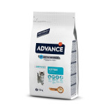 Cumpara ieftin Advance Cat Kitten, 1.5 kg