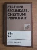 Mihai Sin - Cestiuni principale, chestiuni secundare