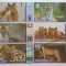 !!! RARR : RUSIA - LOT RED BOOK ANIMALE 2015 - UNC