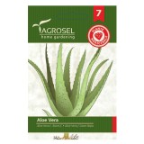 Seminte plante medicinale Agrosel, aloe vera