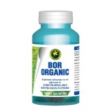Bor Organic 60cps Hypericum, Hypericum Plant