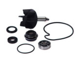 Kit reparatie pompa de apa compatibil: SUZUKI AN 250/400 1998-2007, Vicma