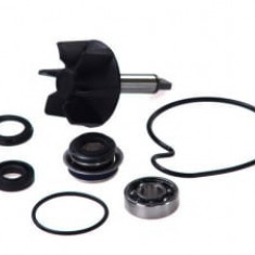 Kit reparatie pompa de apa compatibil: SUZUKI AN 250/400 1998-2007